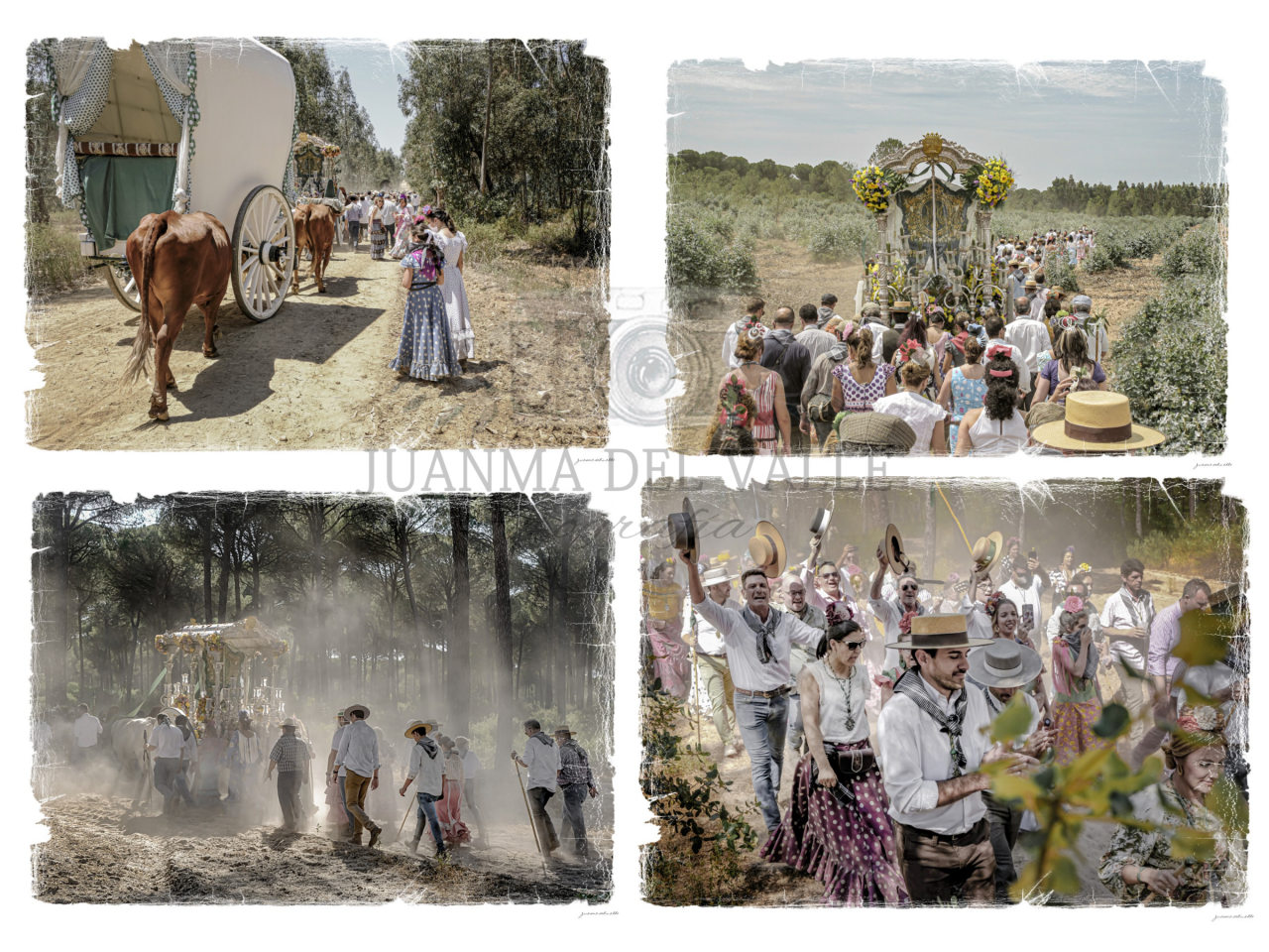 Exposición fotos el rocio